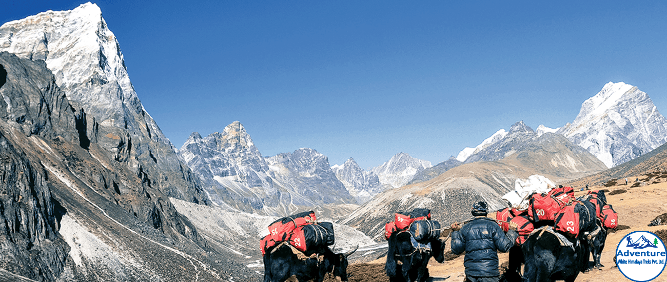 Are-you-planning-for-Everest-Base-Camp-Trekking