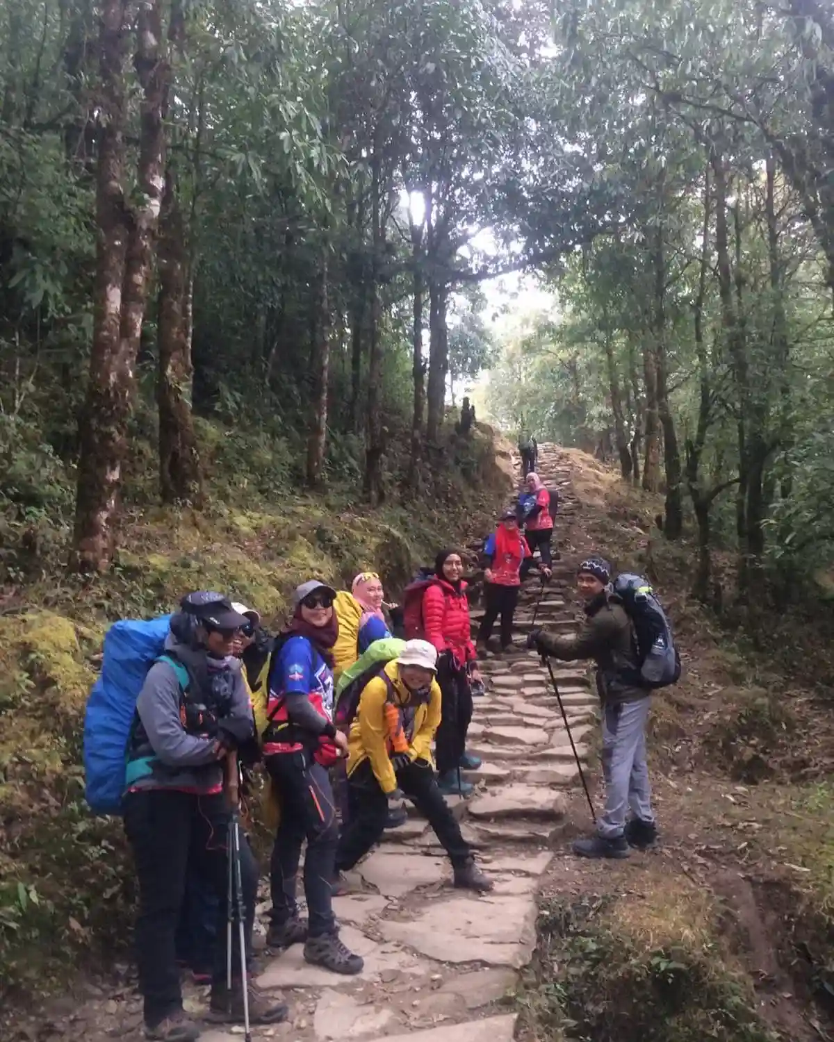 Mardi Himal Trekking - Thing to know